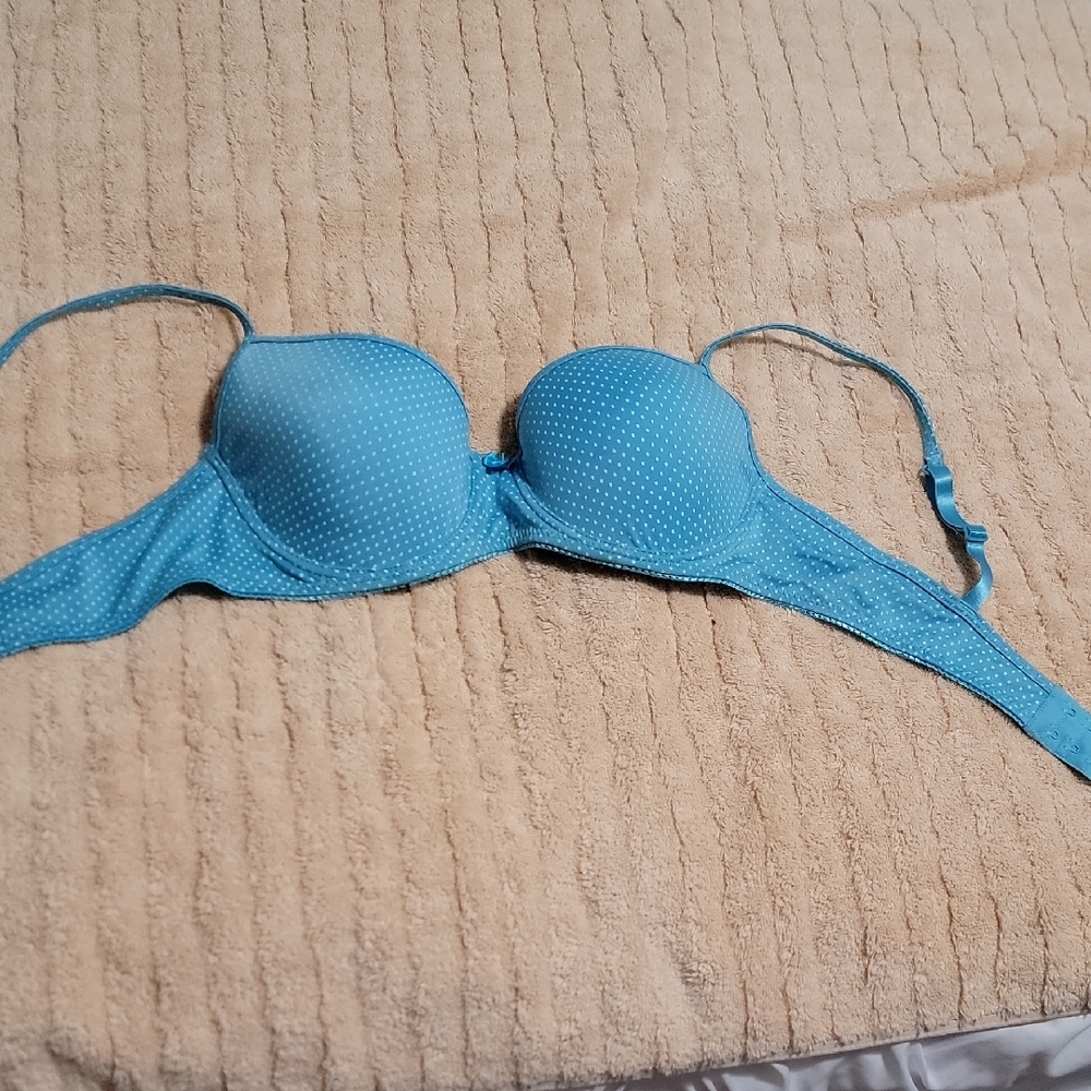 Blue Underwire Bra with Molded Cups and Adjustable Straps